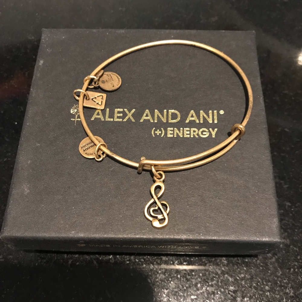 Alex and ani music note charm bracelet